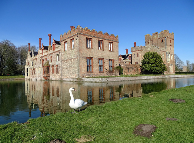 Swan at Oxburgh Hall