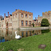 Swan at Oxburgh Hall