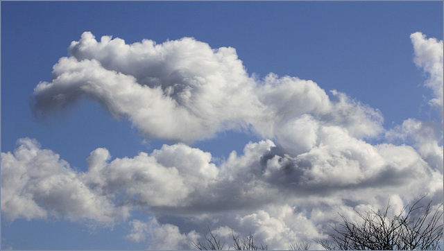 La tête dans les nuages!