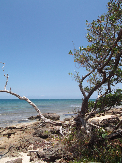 Praia rochosa