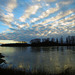 Rhein Hochwasser