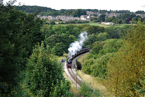 Train about to enter the tunnel..