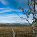 auf dem Njakajaure-Trail (© Buelipix)