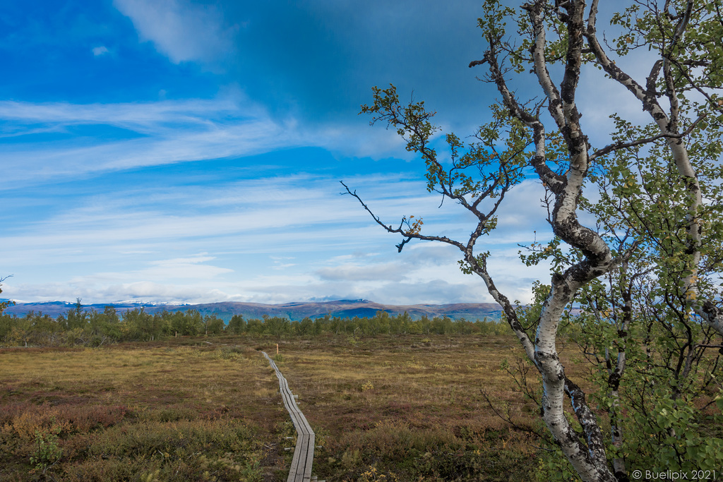 auf dem Njakajaure-Trail (© Buelipix)