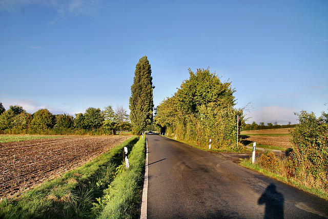 Friedhofstraße (Bergkamen) / 17.09.2022