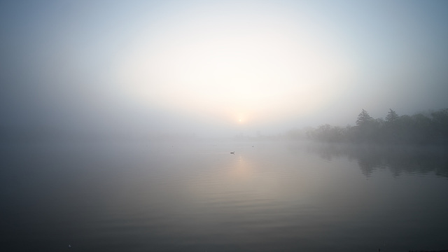 a morning cruise in the fog