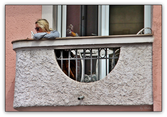 Logenplatz - Box seat