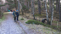Walk in the Rafford woods