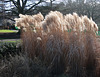 The Prairie Garden