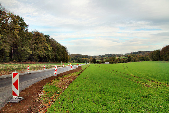 Elberfelder Straße (Sprockhövel-Herzkamp) / 6.11.2022