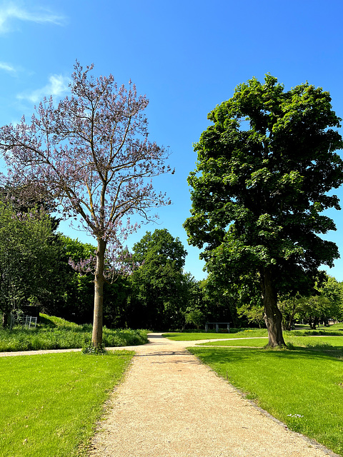 Frühling im Dahliengarten