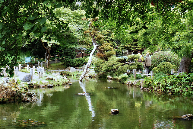 Japanese Tea garden