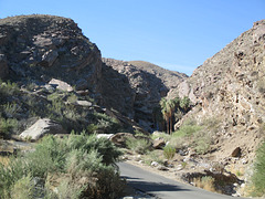 Indian Canyons 04