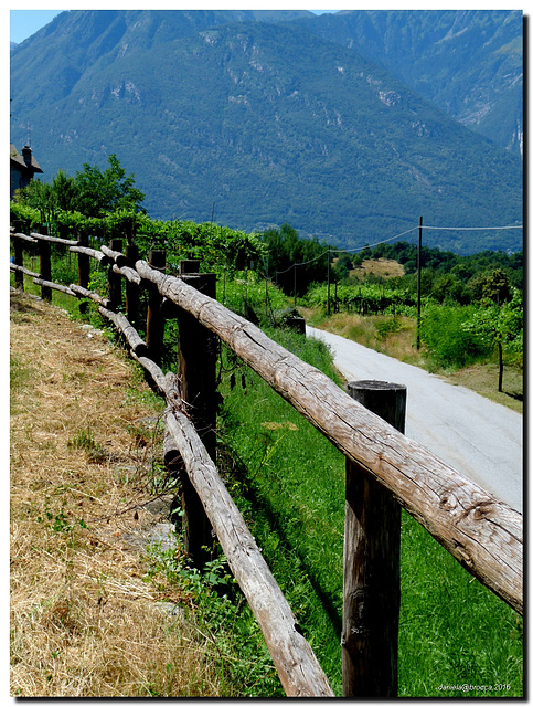 MiniGap Trontano- Fence