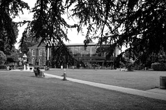 Library, Enfield Town