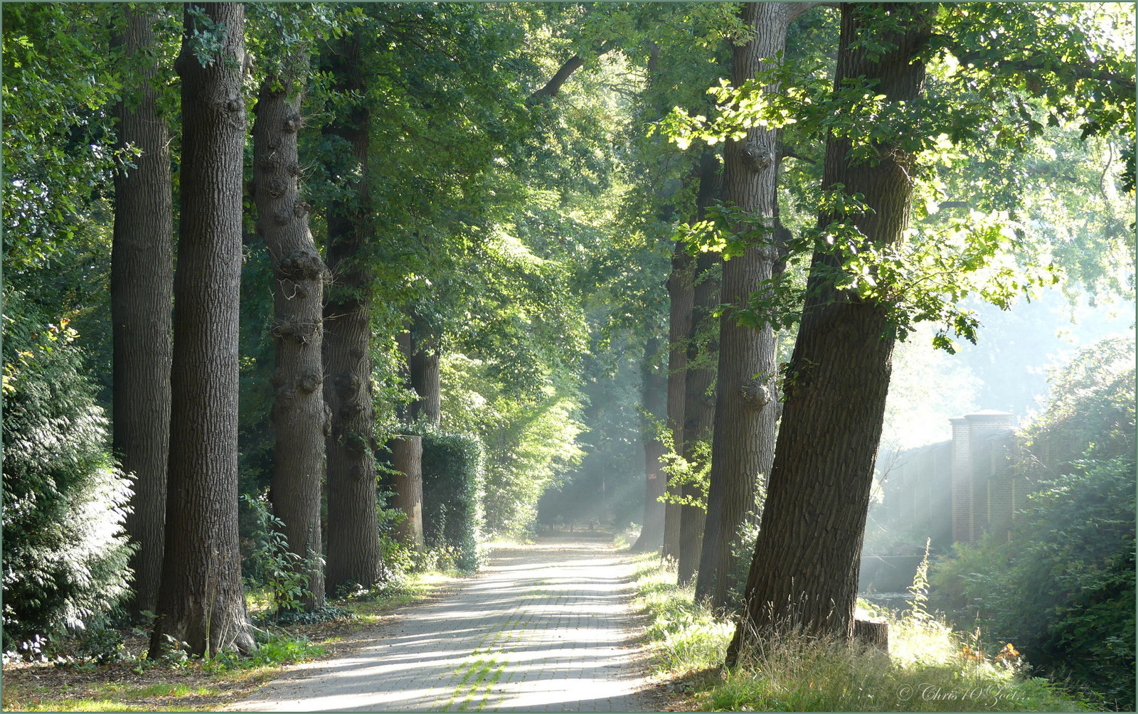 Going for a Wood Walk...