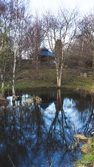Reflections