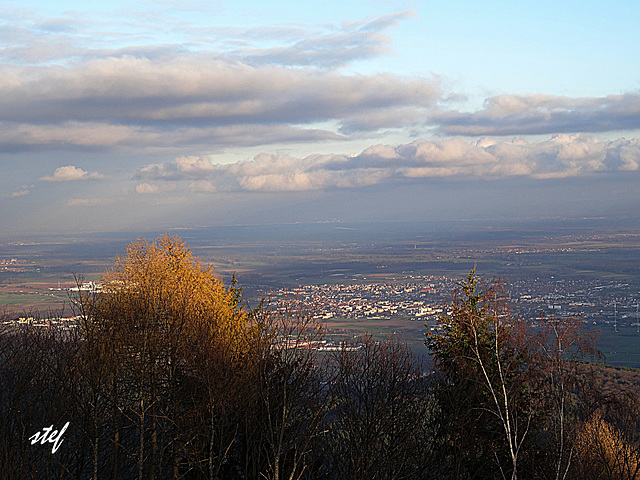 plain of Alsace overlook (2)