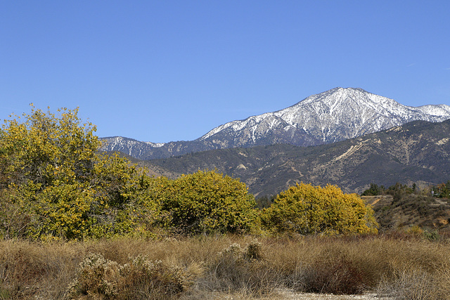 Zanja Peak Trailhead