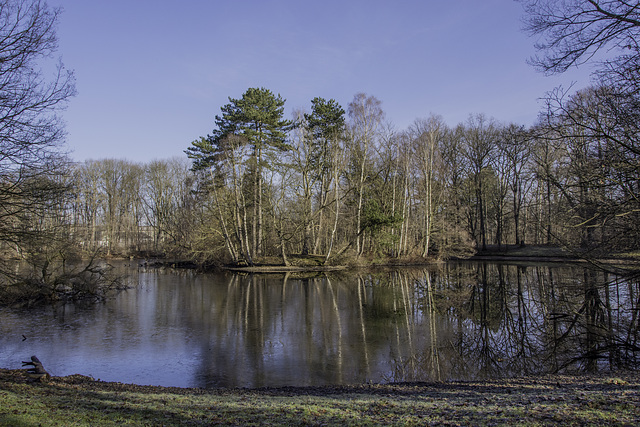 Stadtparkteich