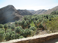 Indian Canyons 05