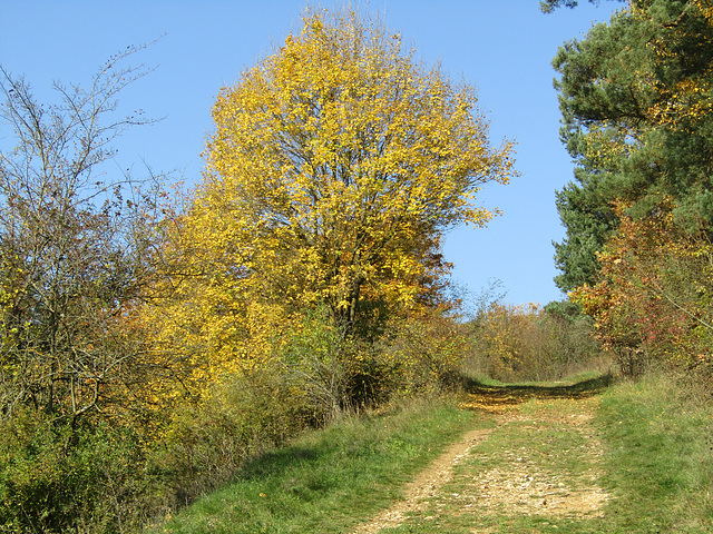 auf zum Gipfelkreuz