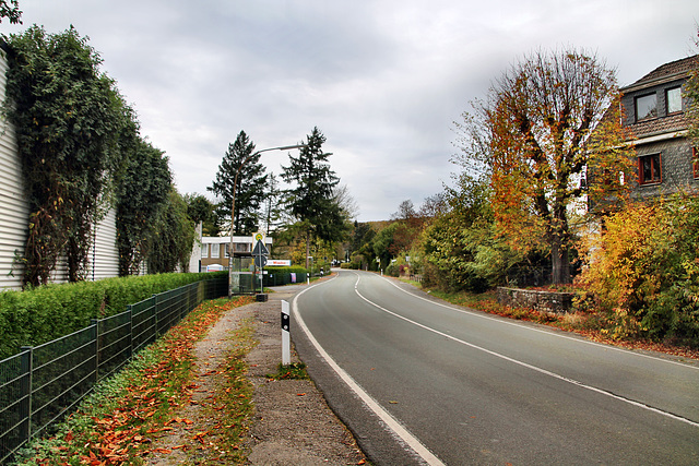 Elberfelder Straße (Sprockhövel-Herzkamp) / 6.11.2022