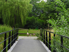 She knows what i mean this canadian goose---HFF She knows what i mean this canadian goose---HFF