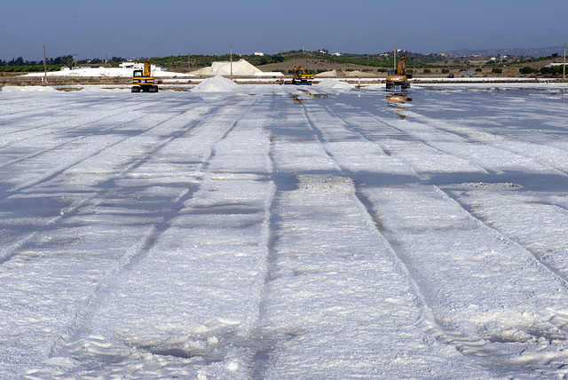 Castro Marim, Salinas e salineiros