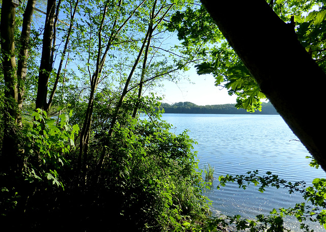 DE - Erftstadt - Liblarer See