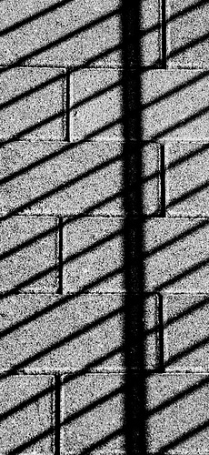 Sunny Sidewalk