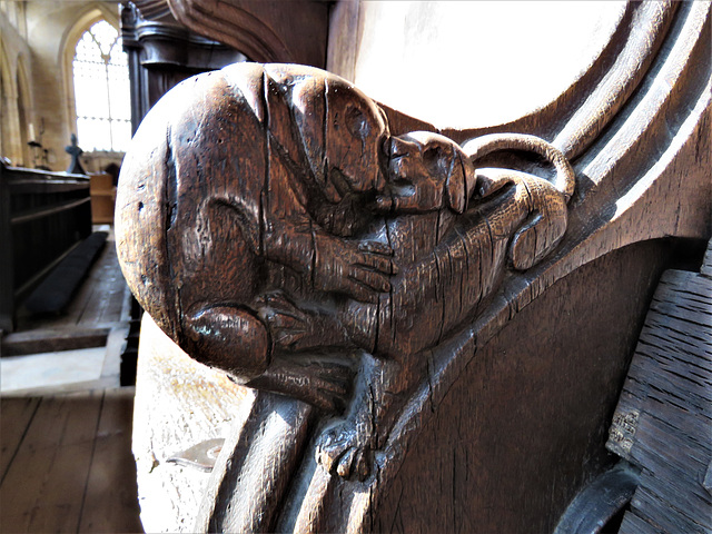 boston church,lincs (44)c14 stall elbow bear dog