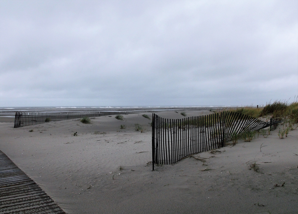 Fences on the beach / Clôtures sur la plage