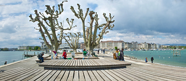 Bains des Pâquis