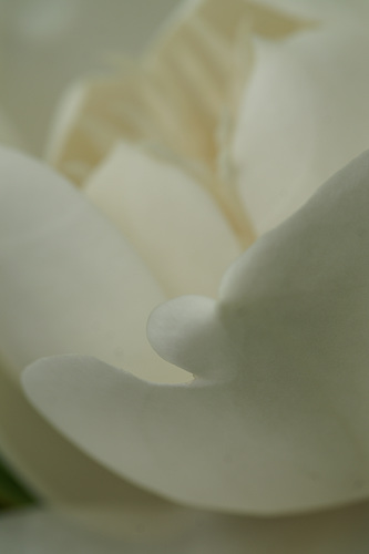 2010.10.30 (5)