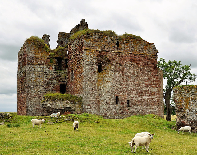 Scotland St. Cuthbert's Way (PiP)