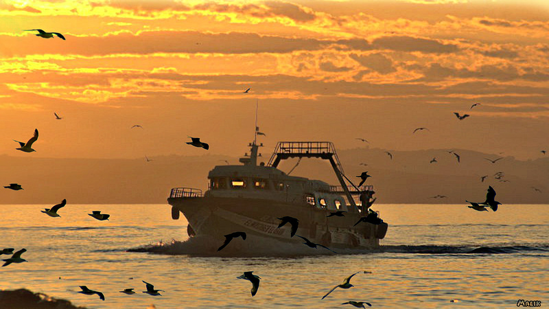 Retour de Pêche .