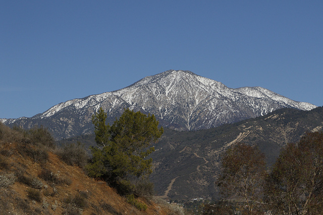 San Bernardino Mountain from Zanja Peak