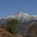 San Bernardino Mountain from Zanja Peak