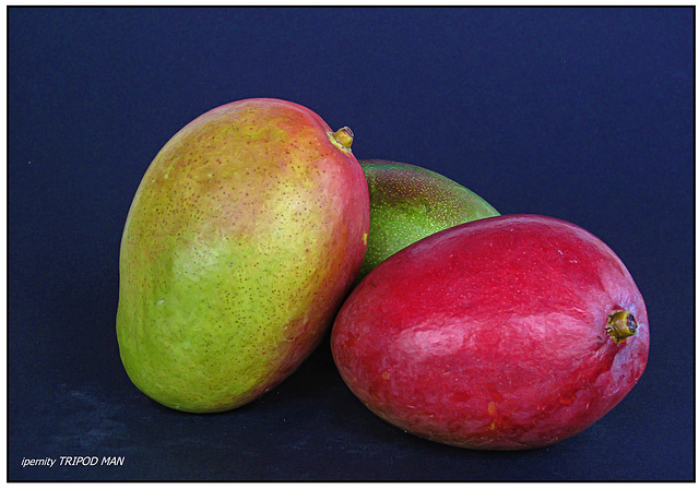 Mangos