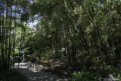 Dr. Sun Yat-Sen Park (© Buelipix)