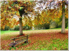 The orchard bench - HBM