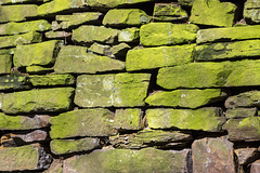 Green stone wall 1