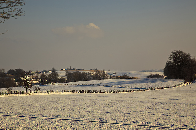 Fenced Colors of Winter