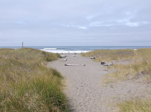 Sentier de sable / Sandy path