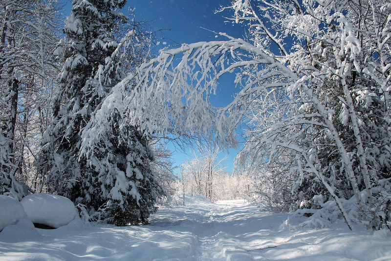sentier de neige