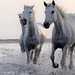 Ambre, Shyma et Victoire........