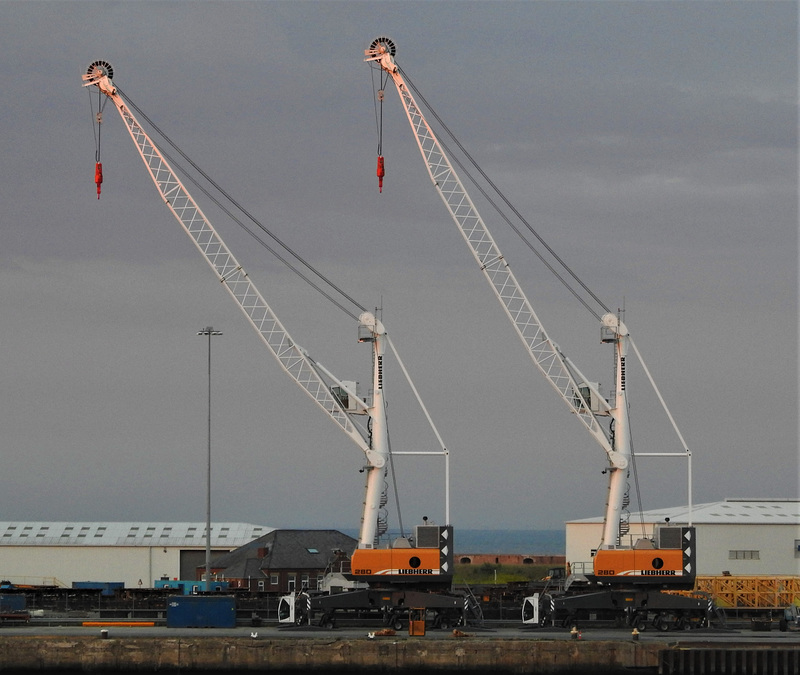 The Cranes of Sunderland