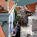 View from the ruined Venetian fortress