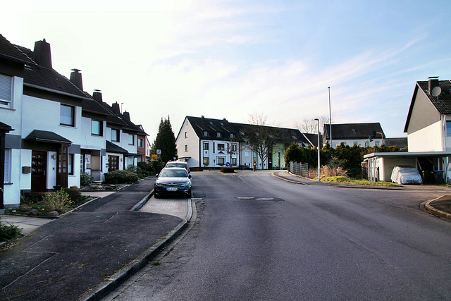 Untere Wülle (Schwerte-Wandhofen) / 9.03.2024